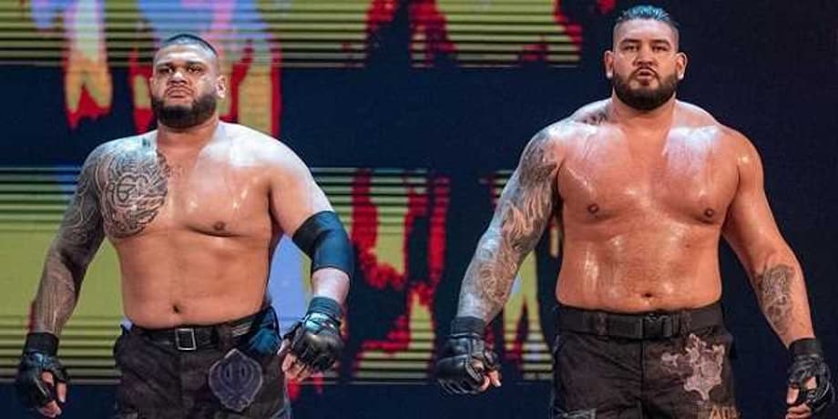 The Authors Of Pain (Akam And Rezar) Have Been Released By WWE