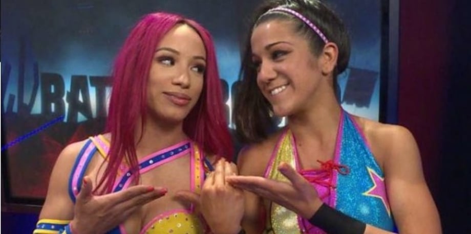 WWE Is Reportedly Still Planning To Introduce Women's Tag Team Championships