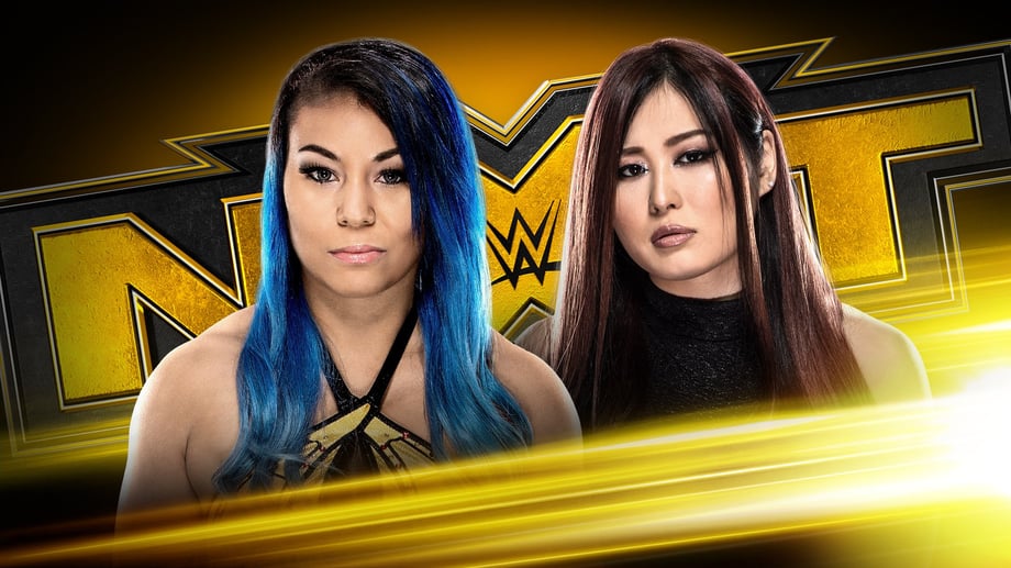 WWE NXT Results For November 13, 2019: Ladder Match, Cruiserweight Title Match And More