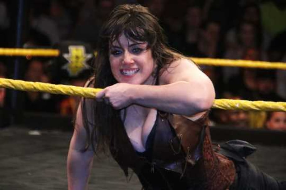 A Top NXT Superstar Works A Tag-Match At A Recent WWE SMACKDOWN LIVE Event