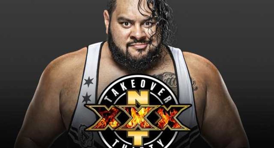 Bronson Reed Advances To NXT TAKEOVER: XXX North American Championship Ladder Match