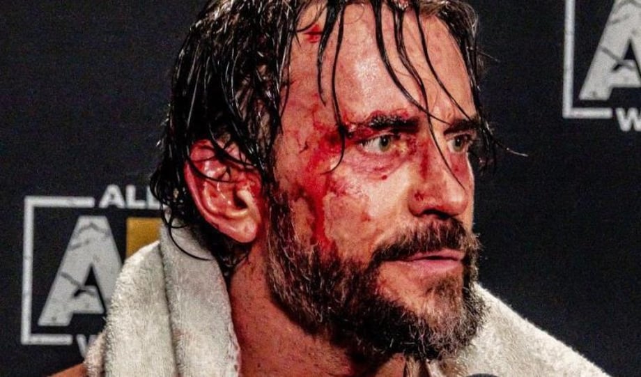 CM Punk Calls Chris Jericho A "Liar And A Stooge" In Since-Deleted Social Media Post
