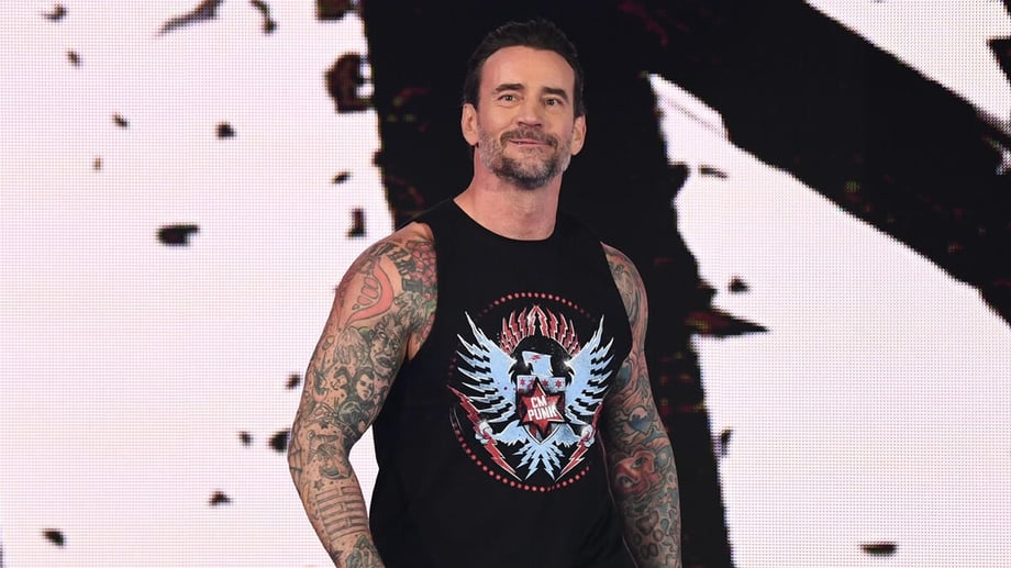 CM Punk Sends Warning To Roman Reigns And Seth Rollins; The Rock Dismisses Rumors About Backstage Issues