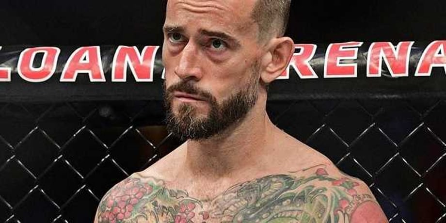 CM Punk Was Involved In An Altercation With A Fan At An MMA Event Over The Weekend