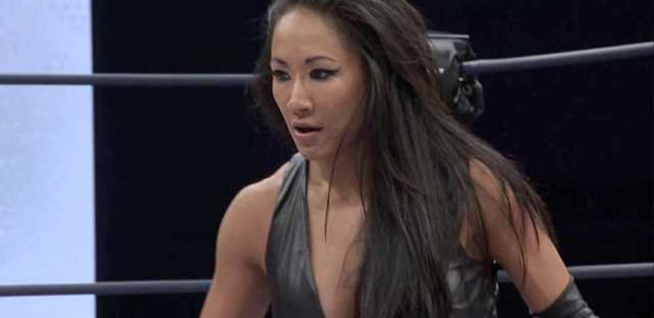 Gail Kim Believes That Vince McMahon Doesn't Think That Someone Of Color Can Be The Face Of The WWE