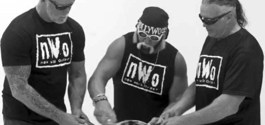 Hall, Nash And Hogan Have Officially Reformed The NWO... We're Just Not Sure Why Yet