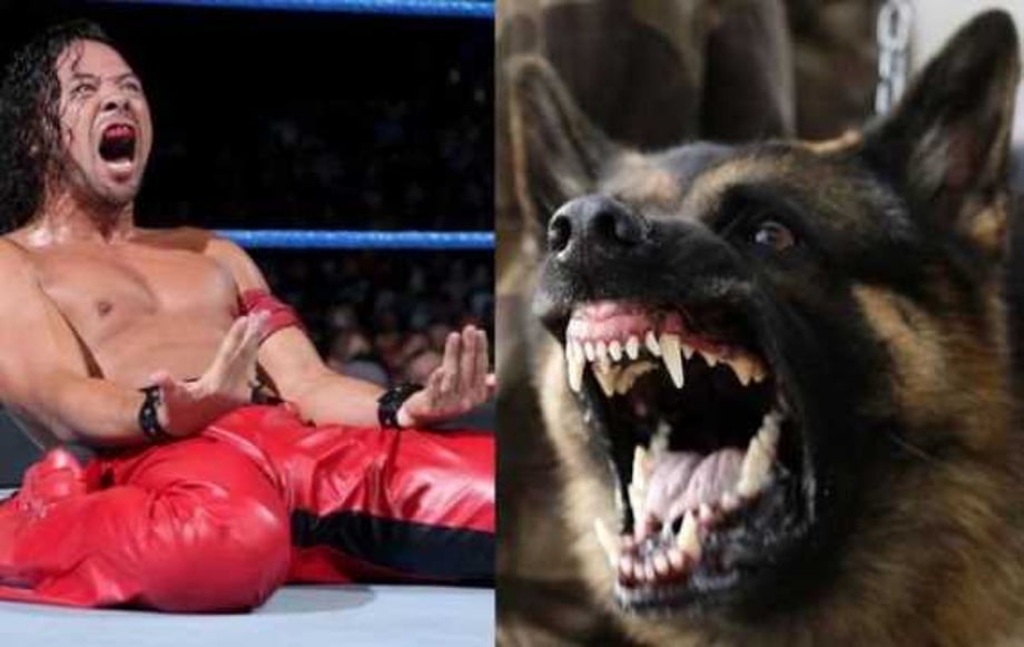 Here's How Long SMACKDOWN LIVE's Shinsuke Nakamura Is Expected To Be Out Of Action For