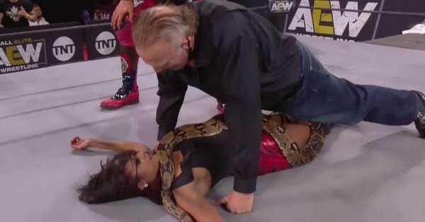 Jake Roberts Reintroduces The Snake On AEW DYNAMITE In Heinous ...